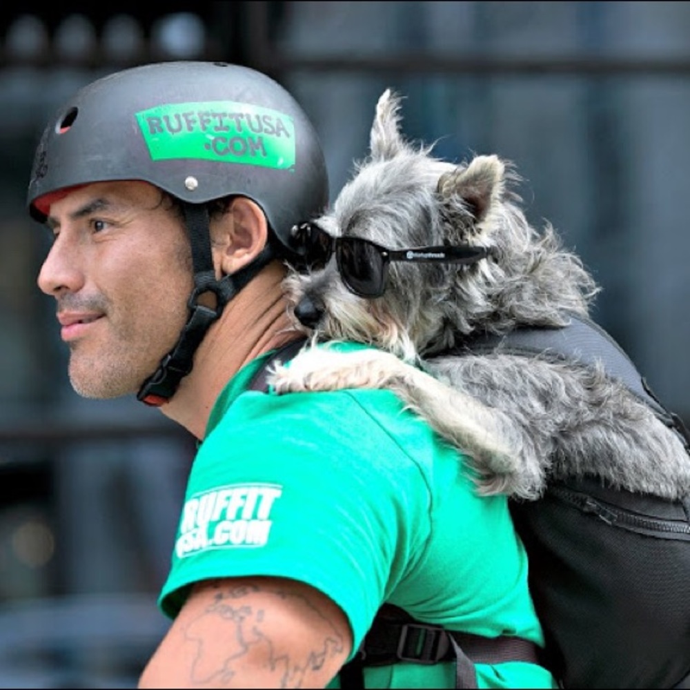 Ruffit dog carrier